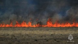 Пожарные потушили два крупных возгорания травы в разных районах Сахалина