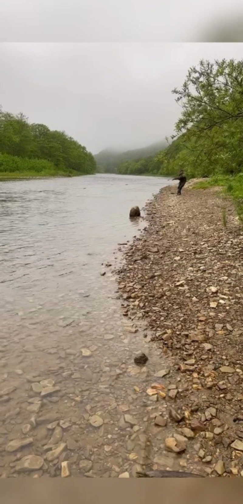 «Наглости нет предела». Браконьеры сетями ловят рыбу в Анивском районе