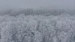 Синоптики: днем 15 декабря Южно-Сахалинск накроют сильный снег и ветер