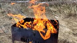Жителям трех районов Сахалина запретили жарить шашлыки