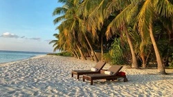 Жителям России стало доступно больше прямых рейсов за рубеж к концу 2023 года