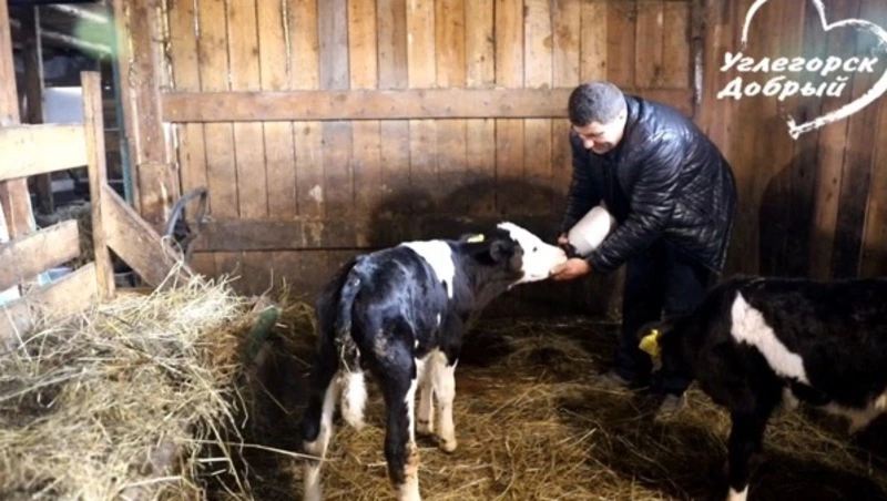 Дочки помогают: сахалинские фермеры вдвоем ухаживают за целым подворьем