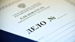 Житель Смирных получил условный срок за хранение пороха