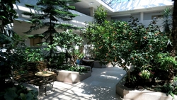 Сахалин вошел в ТОП-5 регионов ДФО с самым недорогим санаторным отдыхом