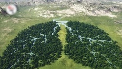 Экологические инициативы и проекты в Сахалинской области. Среда обитания 24.11.22