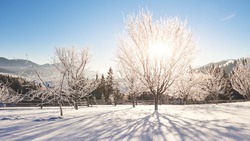 Морозы до -38 градусов: прогноз погоды на Сахалине и Курилах 6 февраля