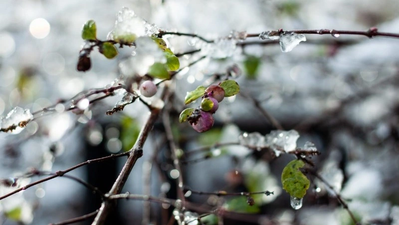 Погода в Южно-Сахалинске 3 апреля: +6 и юго-западный ветер