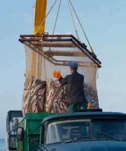 Вмешались силы природы