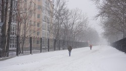 Снег и до -5 градусов днем: прогноз погоды в Южно-Сахалинске на 3 марта