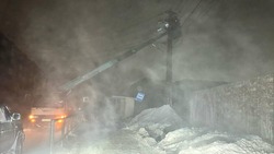 Тысячи человек остались без света в Невельском районе из-за циклона