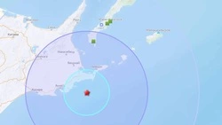 Землетрясение магнитудой 5,0 произошло в районе Южных Курил