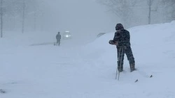 Лыжи в помощь! Третий день мощной метели на Сахалине — 10 фото