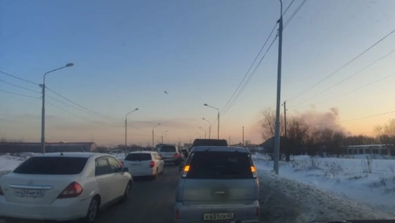 Пожар в приюте «Пес и кот»: десятки сахалинцев приехали забрать животных