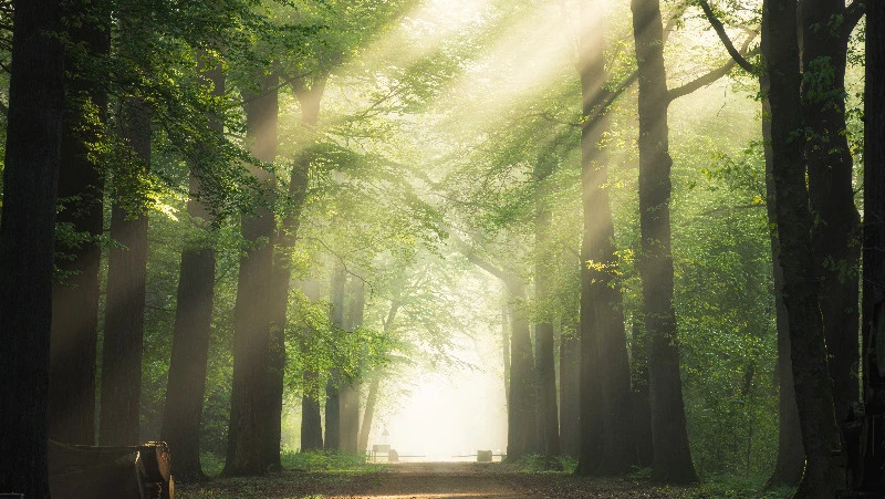 Приметы обо всем на 23 июля 2023 года: что можно и нельзя делать в этот день