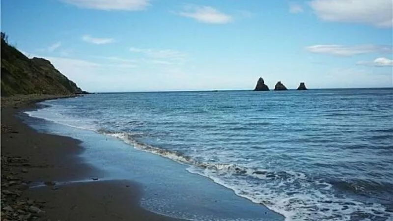 350 сахалинских корейцев вернутся на историческую родину в 2021 году