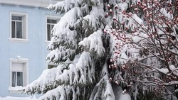 УГМС: после рекордных снегопадов Сахалин ждет новый циклон