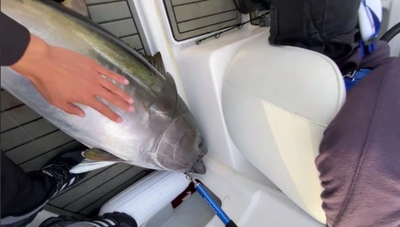 Рыбалка на тунца оставила под впечатлением туристов на Сахалине