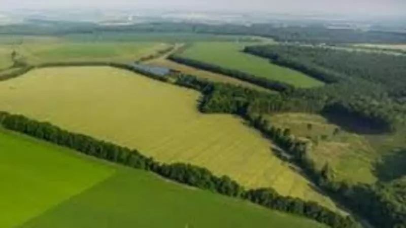 Власти Сахалина выдали субсидии уже 429 владельцам «дв-гектаров» (ВИДЕО)