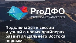 Качество жизни на Сахалине обсуждают на стратегической сессии ДФО. Онлайн-трансляция