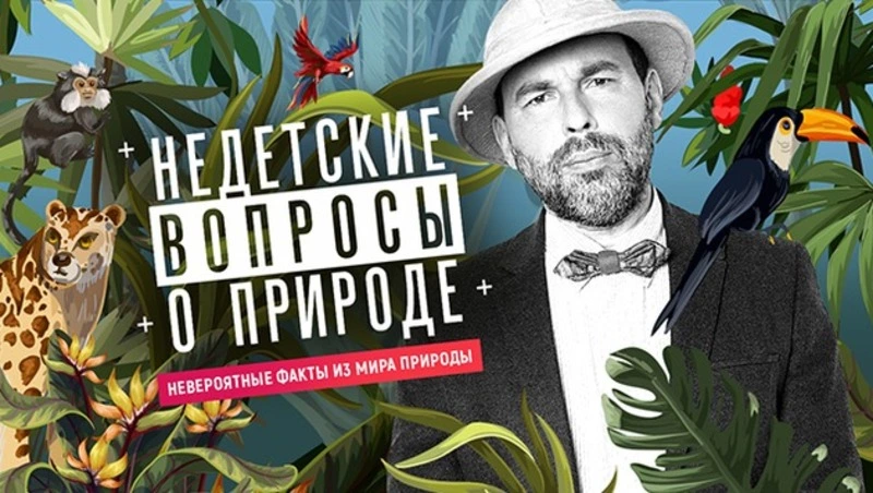 Что посмотреть на выходных 9 и 10 августа: самые интересные передачи на ОТВ Сахалин