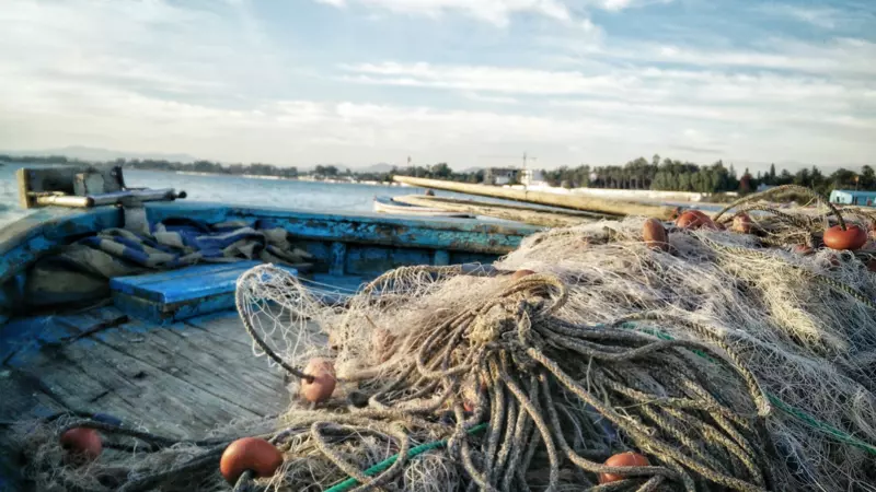 Незаконные сети перекрыли Таранай. Проверка не может найти виноватых