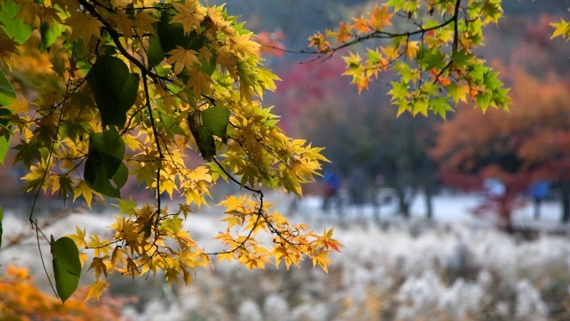Церковный праздник 3 ноября 2024: что нельзя делать в этот день, приметы
