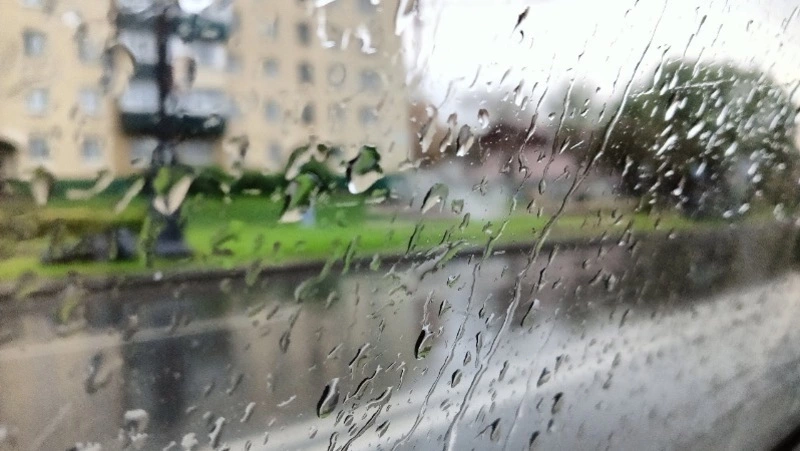 До +21 градуса и дождь: погода в Южно-Сахалинске 2 августа