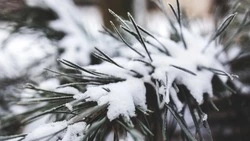 Снежно и холодно будет в Южно-Сахалинске 3 декабря 