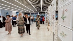 В новом аэровокзале Южно-Сахалинска открыли выставку «Исчезающая красота России»
