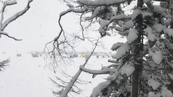 Рыбакам Сахалина напомнили правила безопасности на льду