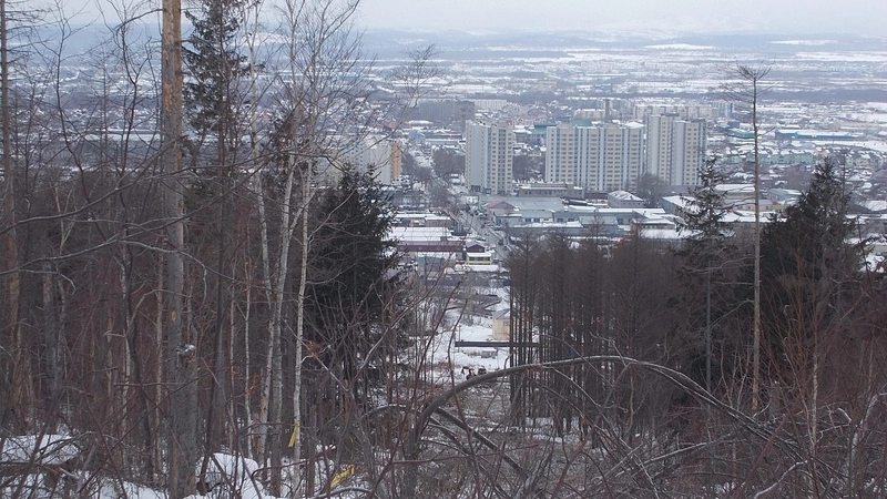 Южносахалинцев обеспокоила массовая вырубка леса на городских сопках