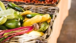 Ярмарка с фермерскими продуктами пройдет в Южно-Сахалинске 26 октября