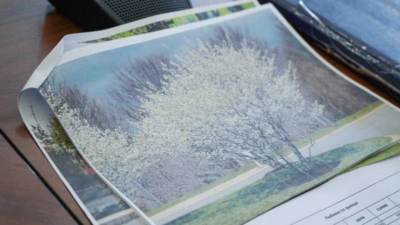 На набережной реки в Корсакове проведут озеленение