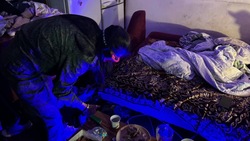 В одном из домов на окраине Южно-Сахалинска нашли труп женщины