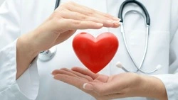 На «Госуслугах» появился личный кабинет донора