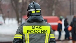 Конный клуб загорелся в Южно-Сахалинске 