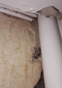 «Стена разрушается»: жительница Холмска несколько лет пытается достучаться до властей