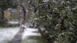 Временами осадки: прогноз погоды в Южно-Сахалинске на 22 марта  