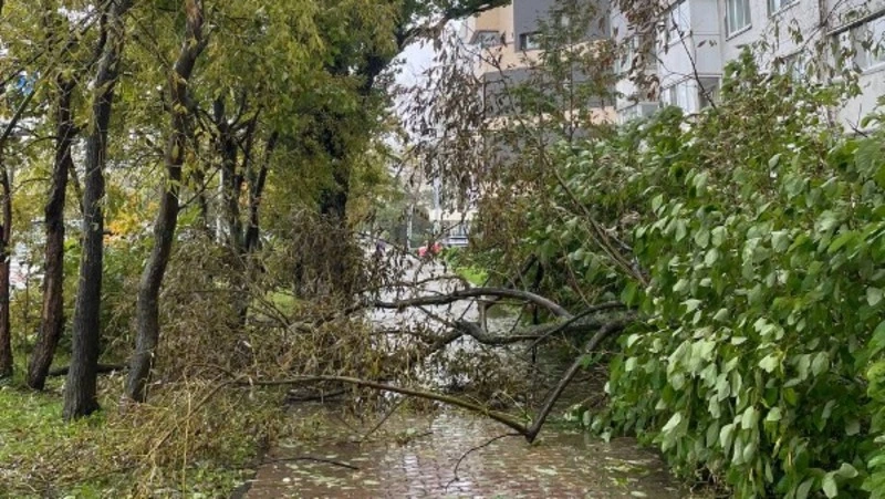 Режим ЧС ввели на территории Южно-Сахалинска 6 октября