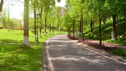 Аллею журналистов с зеленой зоной и фотографиями создадут в Южно-Сахалинске