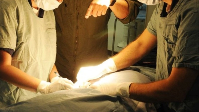 К страховой медицине на Сахалине у депутатов нет нареканий