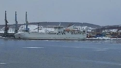 Специалисты выявили замечания при обследовании парома «Александр Деев» на Сахалине