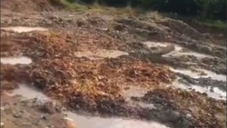 Кладбище тухлой рыбы обнаружили в Макаровском районе