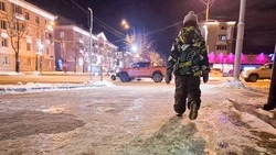 Сражение с гололедицей