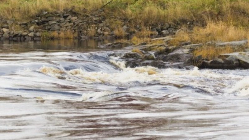 Руководство магазина «Красное и Белое» высудило полмиллиона убытков с мэрии Холмска из-за лужи