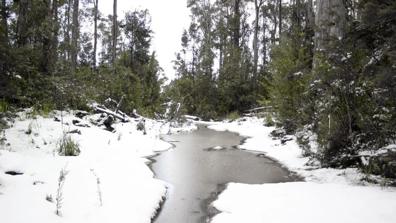 Туманы, ветер и небольшие осадки прогнозируют в Сахалинской области 2 апреля