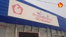 Суд взыскал с сахалинской птицефабрики более 9,2 млн рублей долга