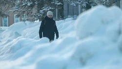 Прогноз Гидрометцентра: аномальные снегопады накроют несколько районов Сахалина