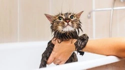 Авария на водопроводе оставит десятки улиц Южно-Сахалинска без воды на всю ночь