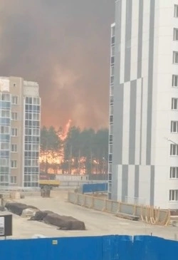 МЧС ликвидирует крупный лесной пожар в Циолковском у космодрома «Восточный»